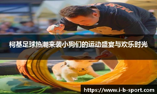 柯基足球热潮来袭小狗们的运动盛宴与欢乐时光